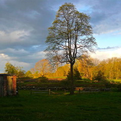 Michelles Farm