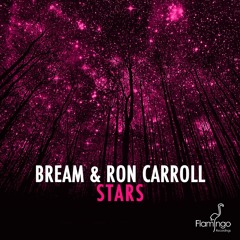 Bream & Ron Carroll - Stars (Original Mix) [Flamingo]