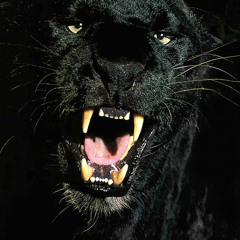 New Imaging Montage 2014