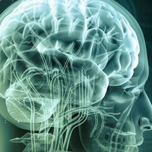 Décontruction Neuronal (BreakCore)