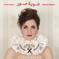 Tania Saleh | Beirut Windows/As Janelas De Beirute شبابيك بيروت