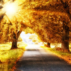 Jan Brucker - Herbsttage #1