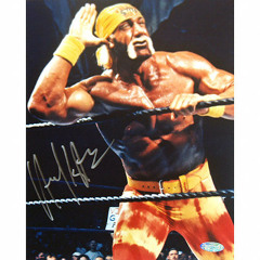 Hulk Hogan - Yung Zyll x inkBaby x Azo