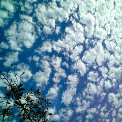 Michiru Aoyama & SANMI / a Soundscape