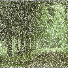 Rain