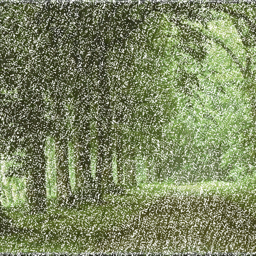 Rain