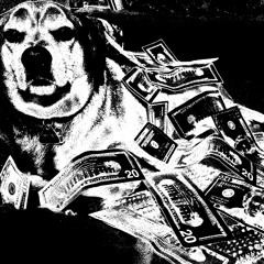 Dxggxd - Alley Grind