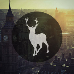 London Grammar - Hey Now (Wild Culture's More Sub Remix)
