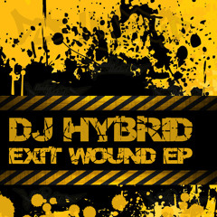 DJ Hybrid - Lose Your Head