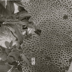 Its draining its pouring, this song is boring.