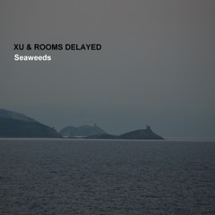 [TMR003] Xu & Rooms Delayed_SOON_#1sound excerpt