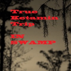 True Ketamin Trip - IN SWAMP