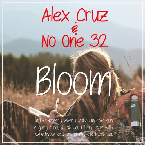 The Paper Kites - Bloom (Alex Cruz & No One 32 Private Edit)