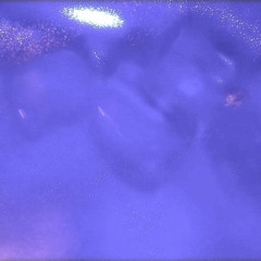 CHIFFON MIX_FALL 2014