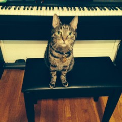 Practice: "The Vampyre Of TIme And Memory"