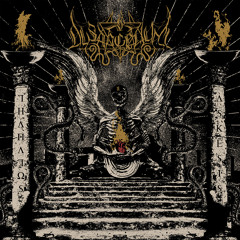 Ave Obscuritas Incarna