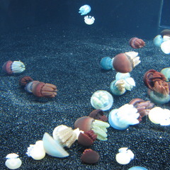 Video Game Sound Effects