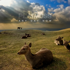 Any Day Now [full version]