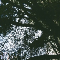 My Voice Is Being Contextualised