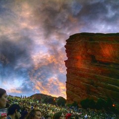 latenite / bus ride back