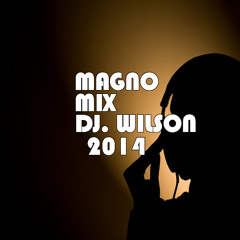 MEGA ESTACION 2014 MAGNO MIX DJ WILSON