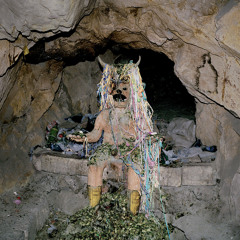 Otoacoustic Emissions 2014 (excerpt)