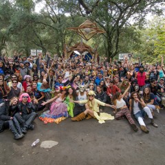 Freakshow Festival 2014 presented by PsyTribe, USA