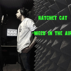 RatchetCat- Weed In The Air