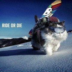 Ride Or Die