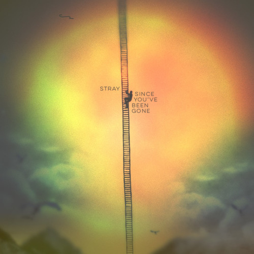 Hide