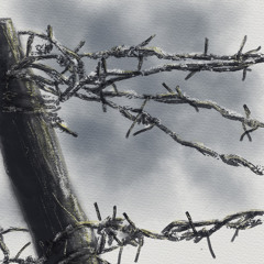 Chilled Cow - ChilledCow - Lofi Girl - lofi hip hop music - beats to relax/study to... 6