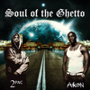 2pac And Akon Blame It On Me Mp3