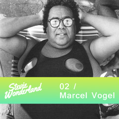 Stevie Wonderland Mix 02 / Marcel Vogel