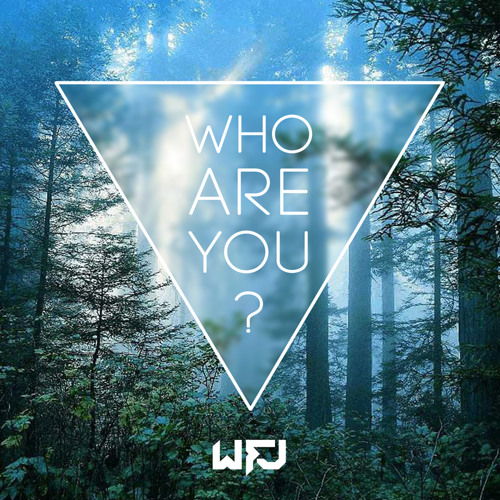 WFJ - Who are you ? (Original Mix) FREE D☺WNLOΔD