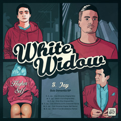 WWBR017 S. Jay - Dub Dimentia EP
