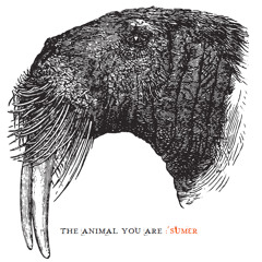 Sumer - The Animal You Are