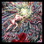 Artwork for The Dodos - Competition