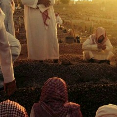 ذرفت دموعي بلا سكن