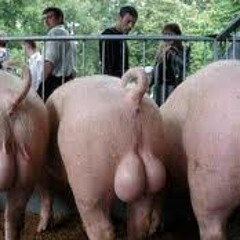 Big Heavy Balls - banging techno mix