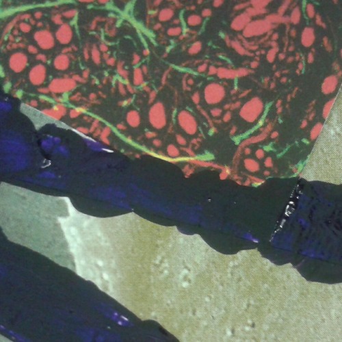 Microbiome