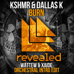 KSHMR & Dallask - Burn (WATTEW & XAiDE Orchestral Intro Edit)