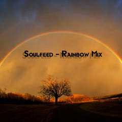 Soulfeed - Rainbow Mix