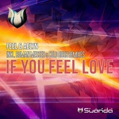 Feel & Aelyn - If You Feel Love (Roman Messer Remix)