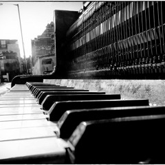 Distorted Keys - Serva(not Mixed)