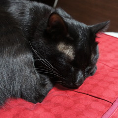 【歌ってみたかった】 loops and loops 【sinnzi0115】【Mixしました】