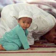 الصورة و الحقيقة - الشيخ رجب أبو بسيسة