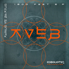 Karius Ve Baktus - Spider Web Fractal *Preview*