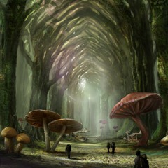 Mushroom Forest Mvt. II Indian Dance