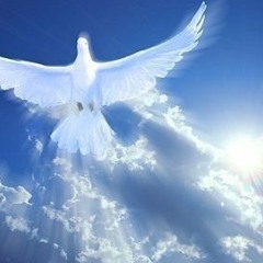 Космічний Вітер. Пташині Казки. / Пташині казки.- 10 /.