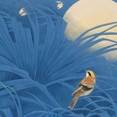 Новий Світ. Пташині Казки. / Пташині казки.- 11 /.